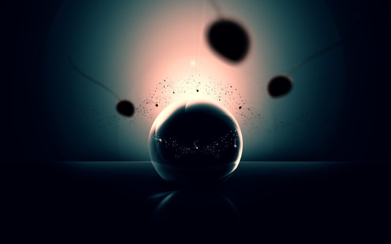 Sperm Cells Approaching Egg — Black