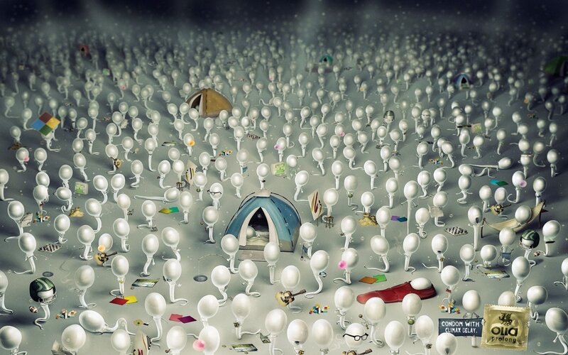 Sperm Cells Camping
