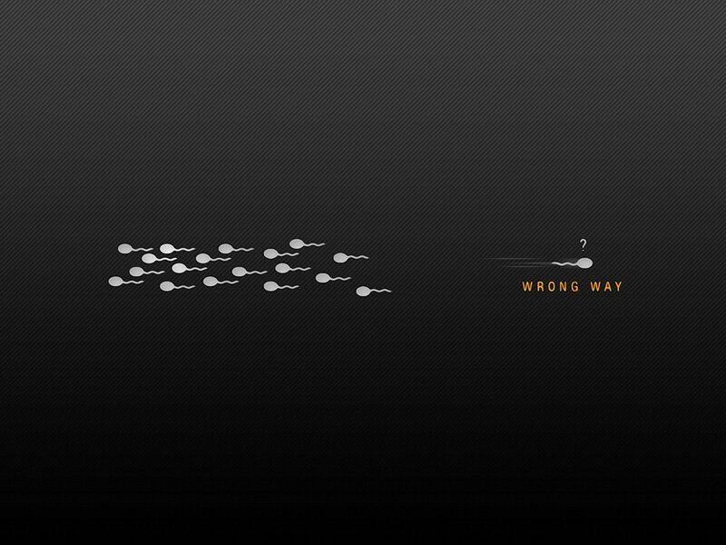 Sperm Cells Swimming — Black, Humorous