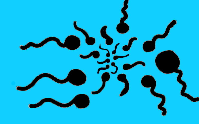 Sperm Cells Swimming