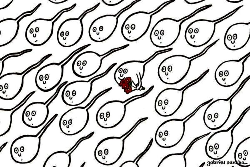 Sperm Cells with Faces