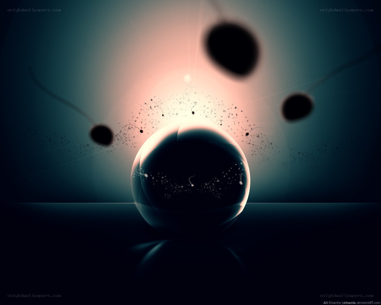 sperm fertilizing egg cell