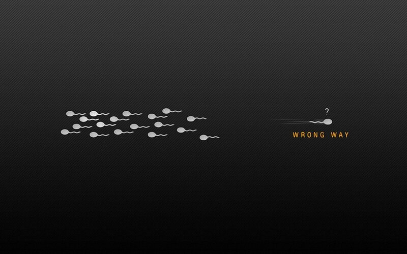 sperm swimming wrong way