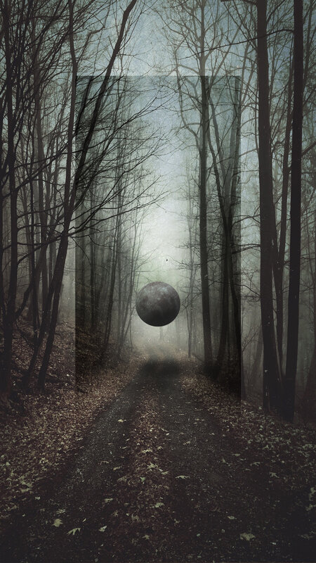 Spherical Object in Forest
