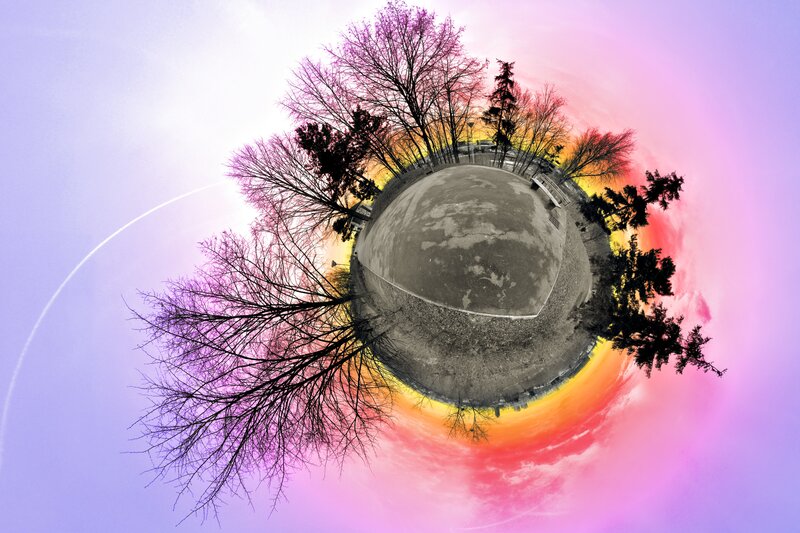 spherical view of trees and sky