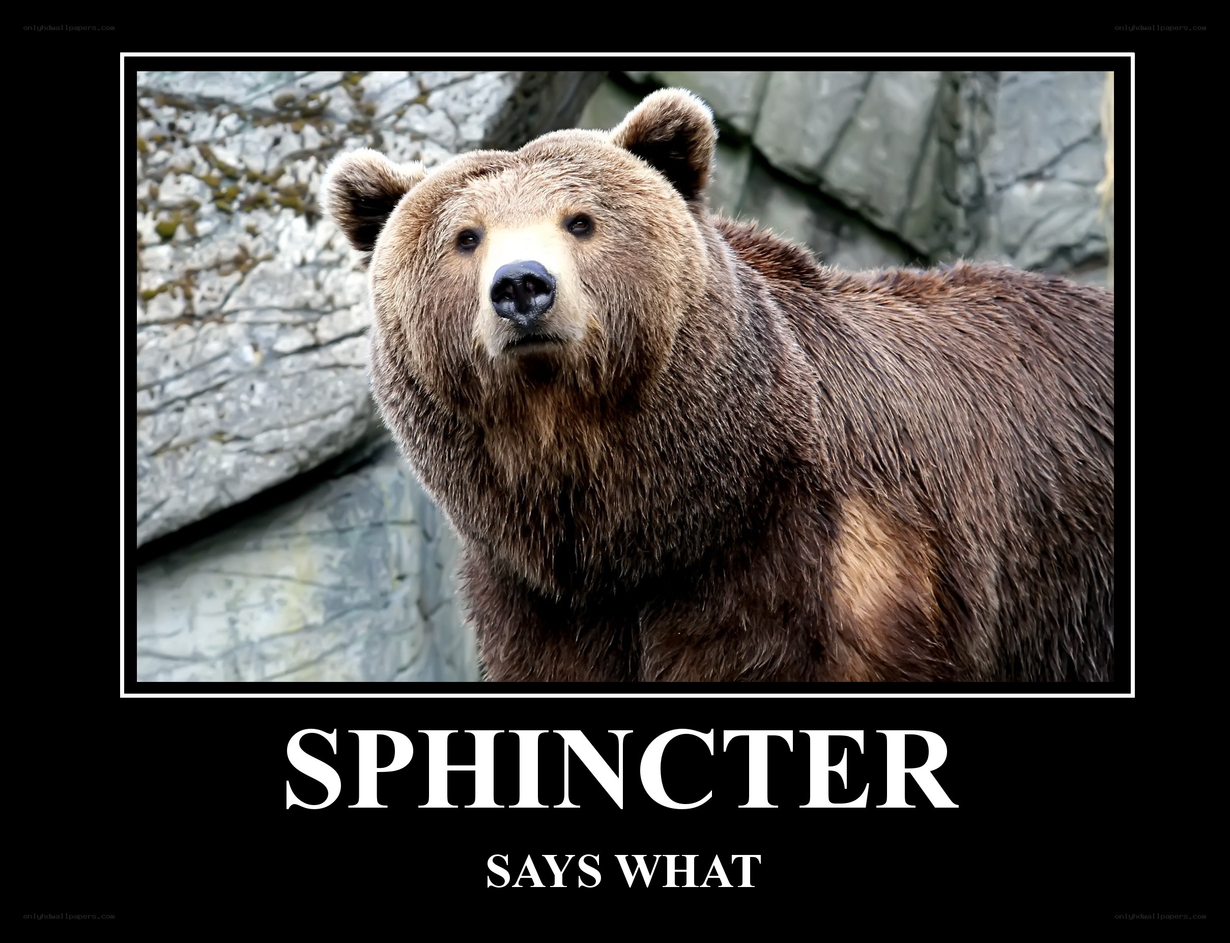 Sphincter Says What
