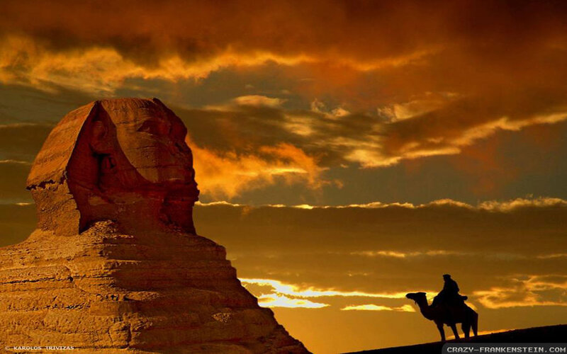 Sphinx and Camel — Orange