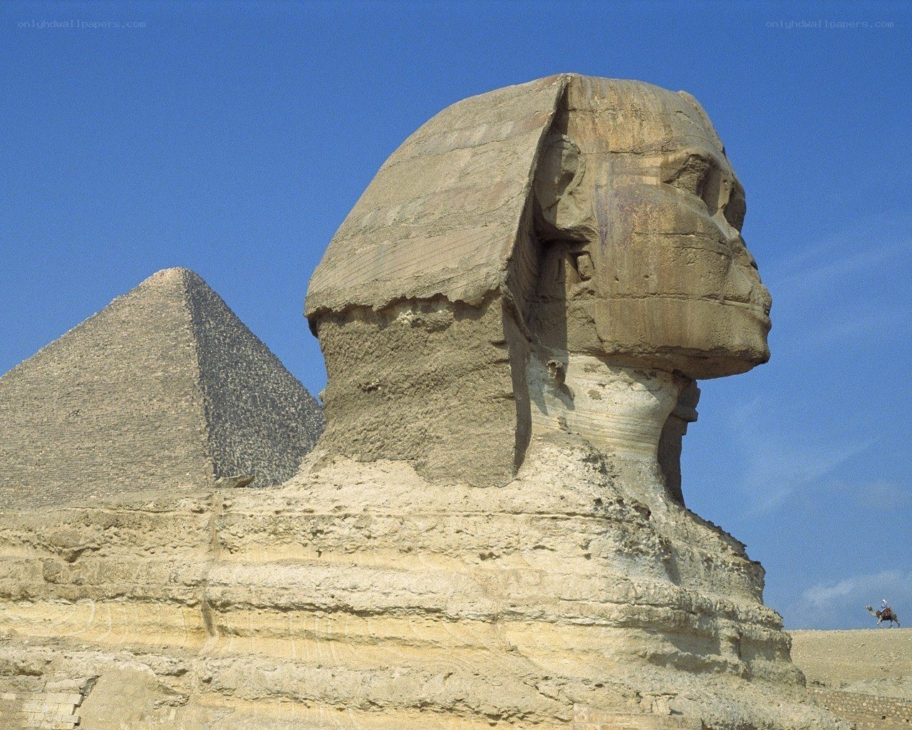 Sphinx and pyramid in Egypt