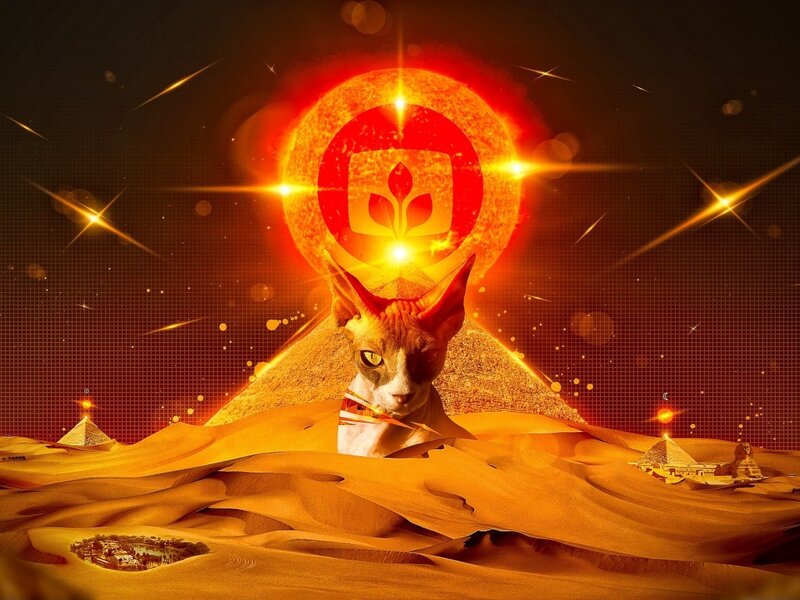 Sphinx Cat in Desert — Orange
