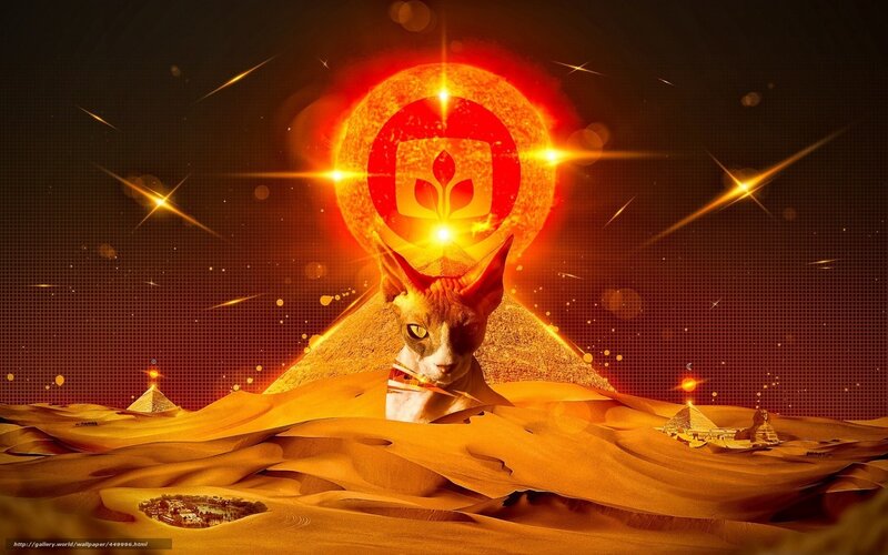 sphinx cat in desert