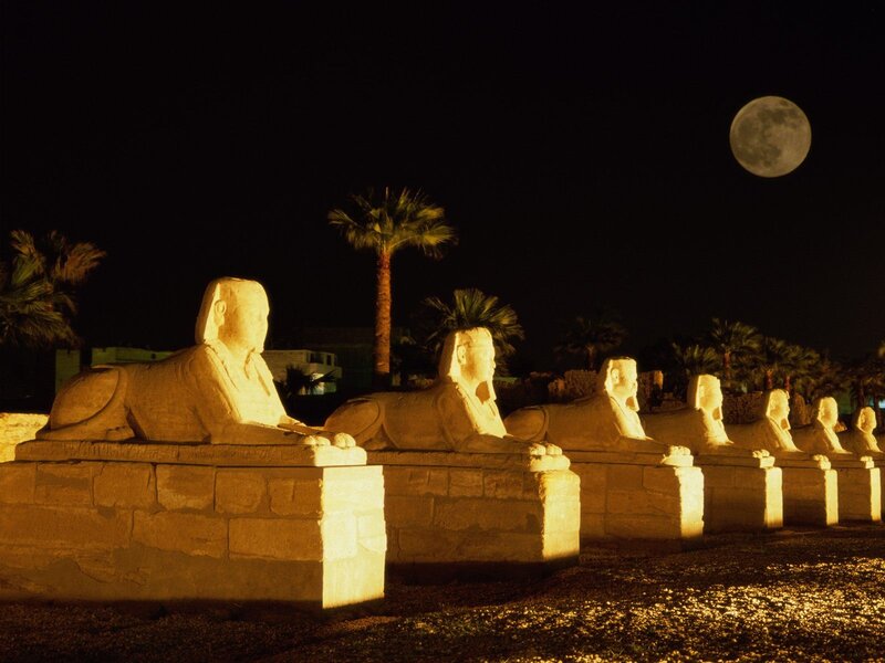 Sphinx Statues at Night
