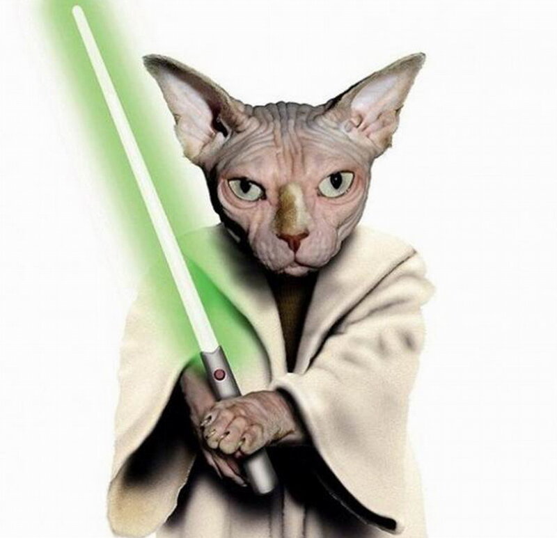 Sphynx Cat with Lightsaber
