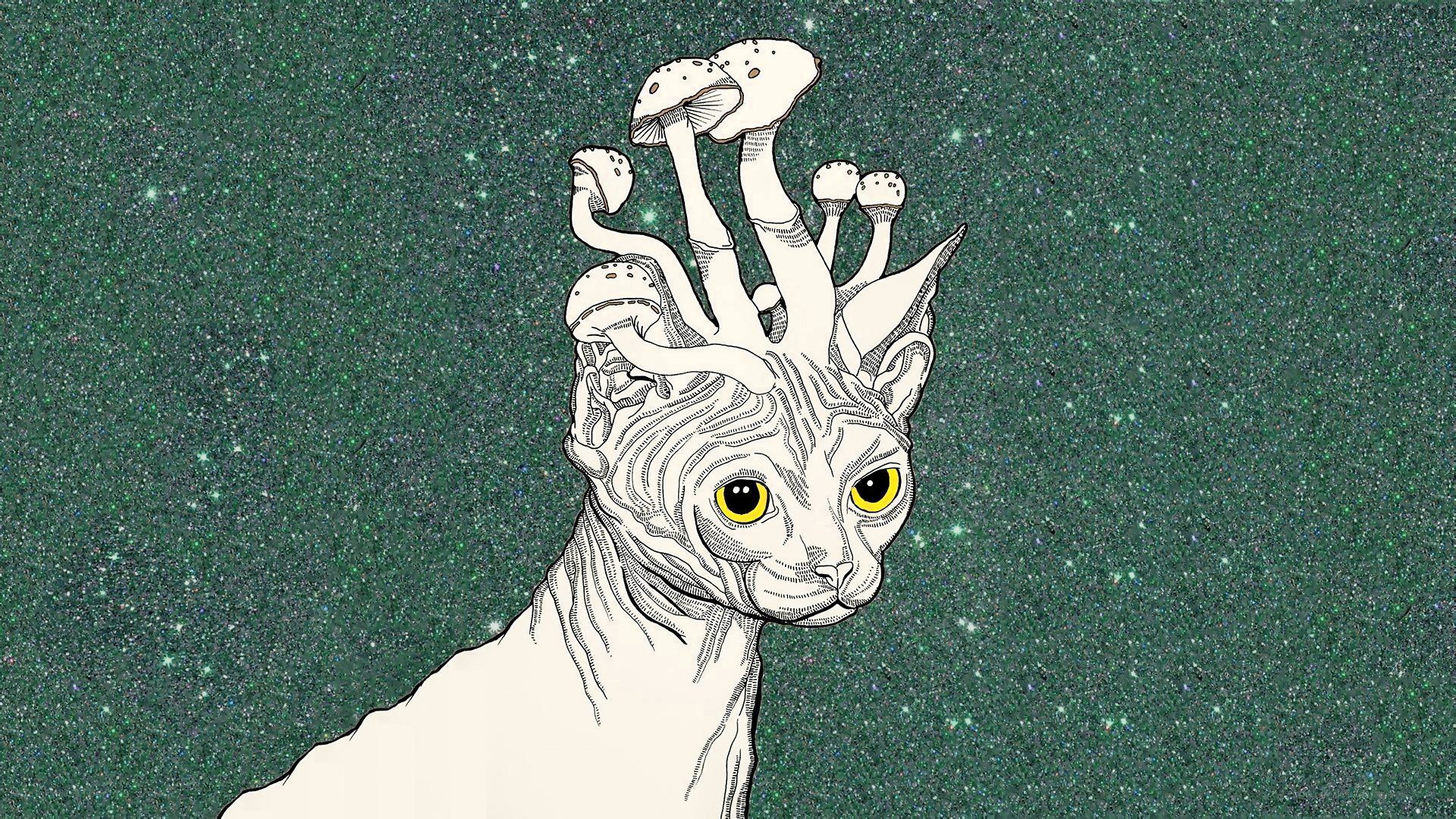 sphynx cat with mushrooms