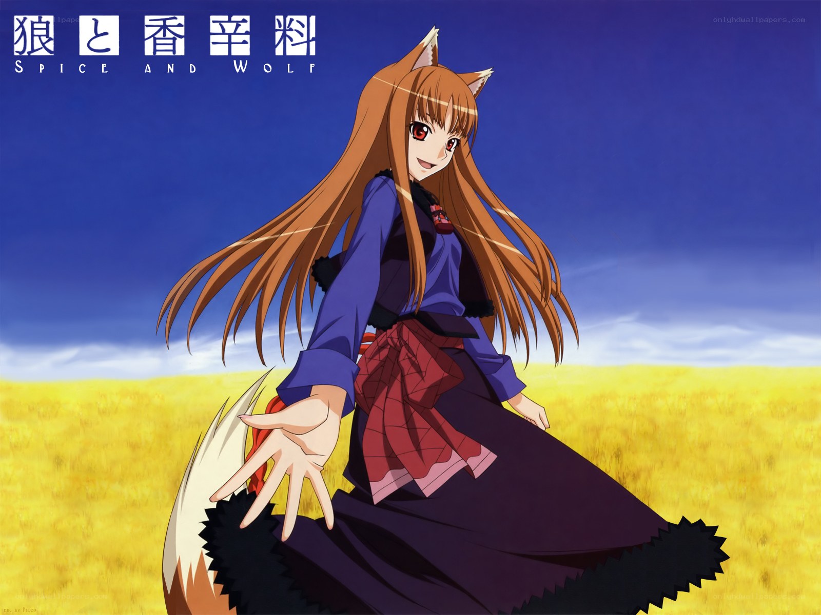 Spice and Wolf anime character