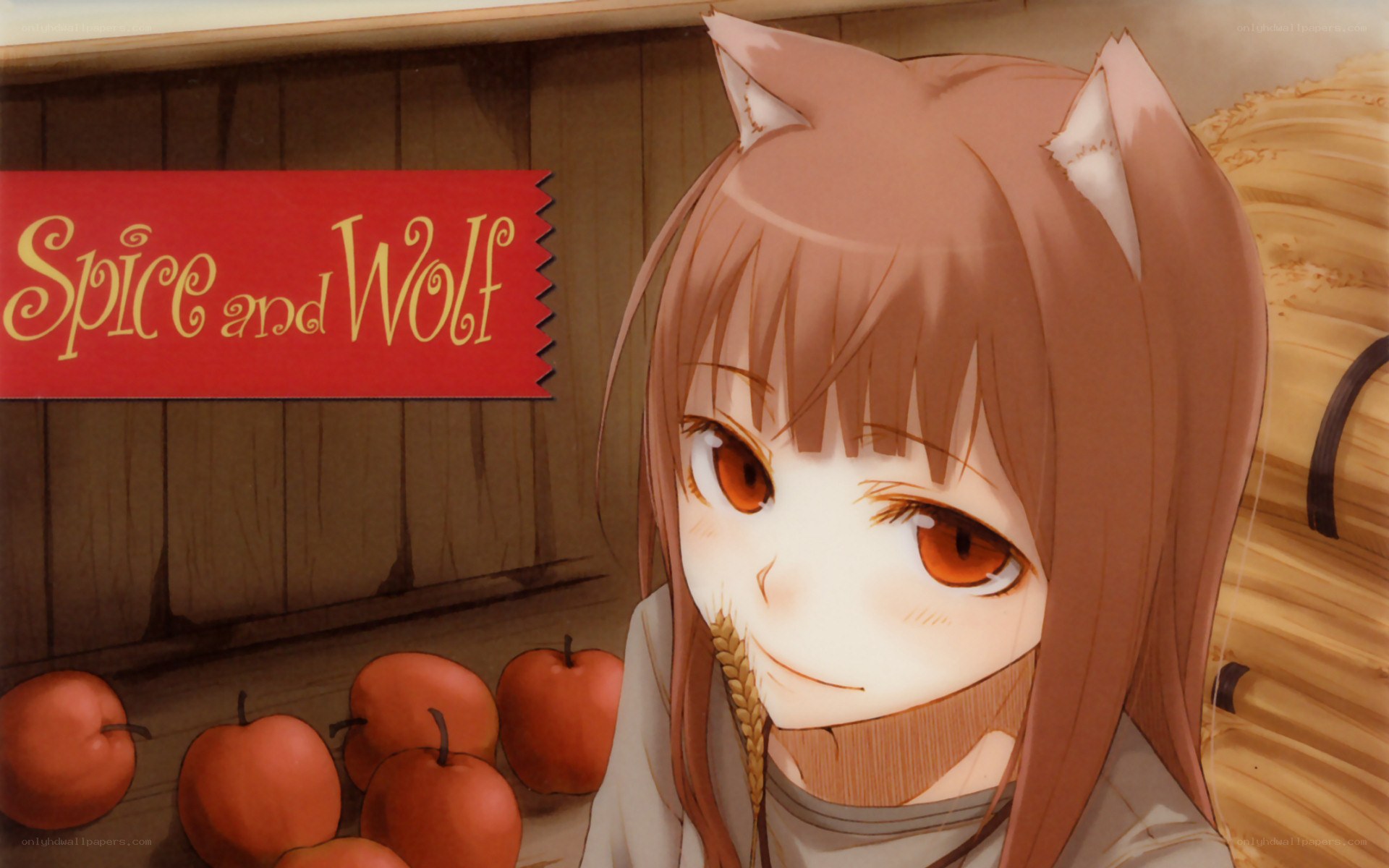 Spice and Wolf anime character