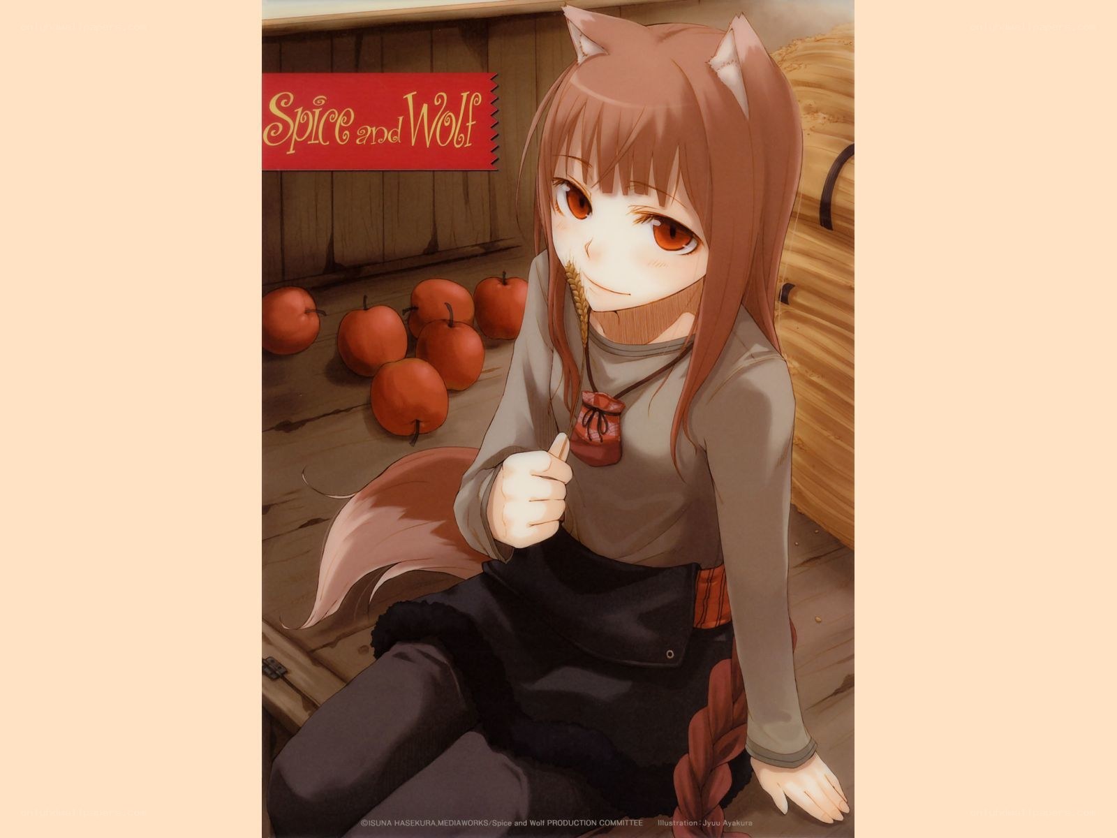 Spice and Wolf character art