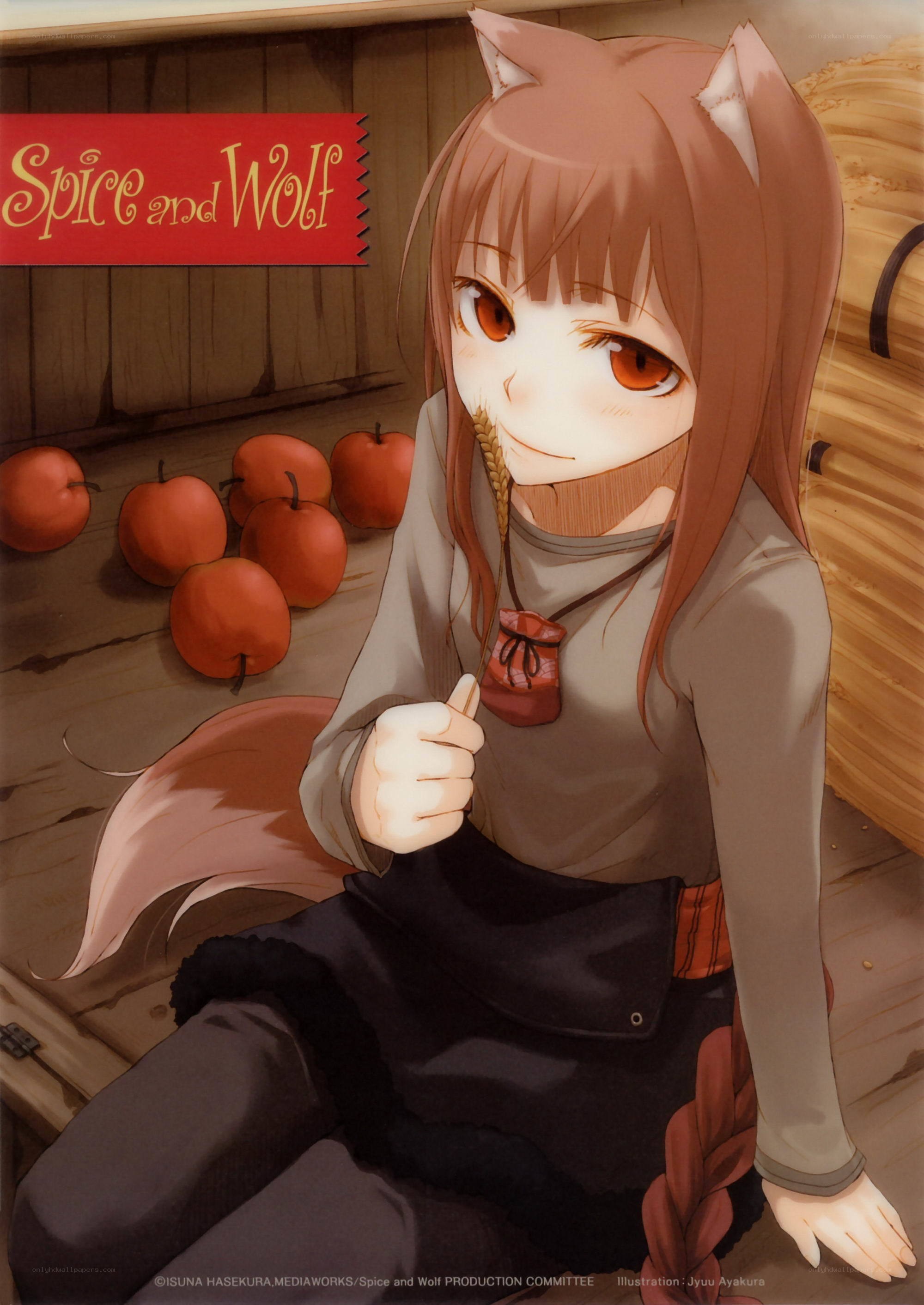 Spice and Wolf character illustration