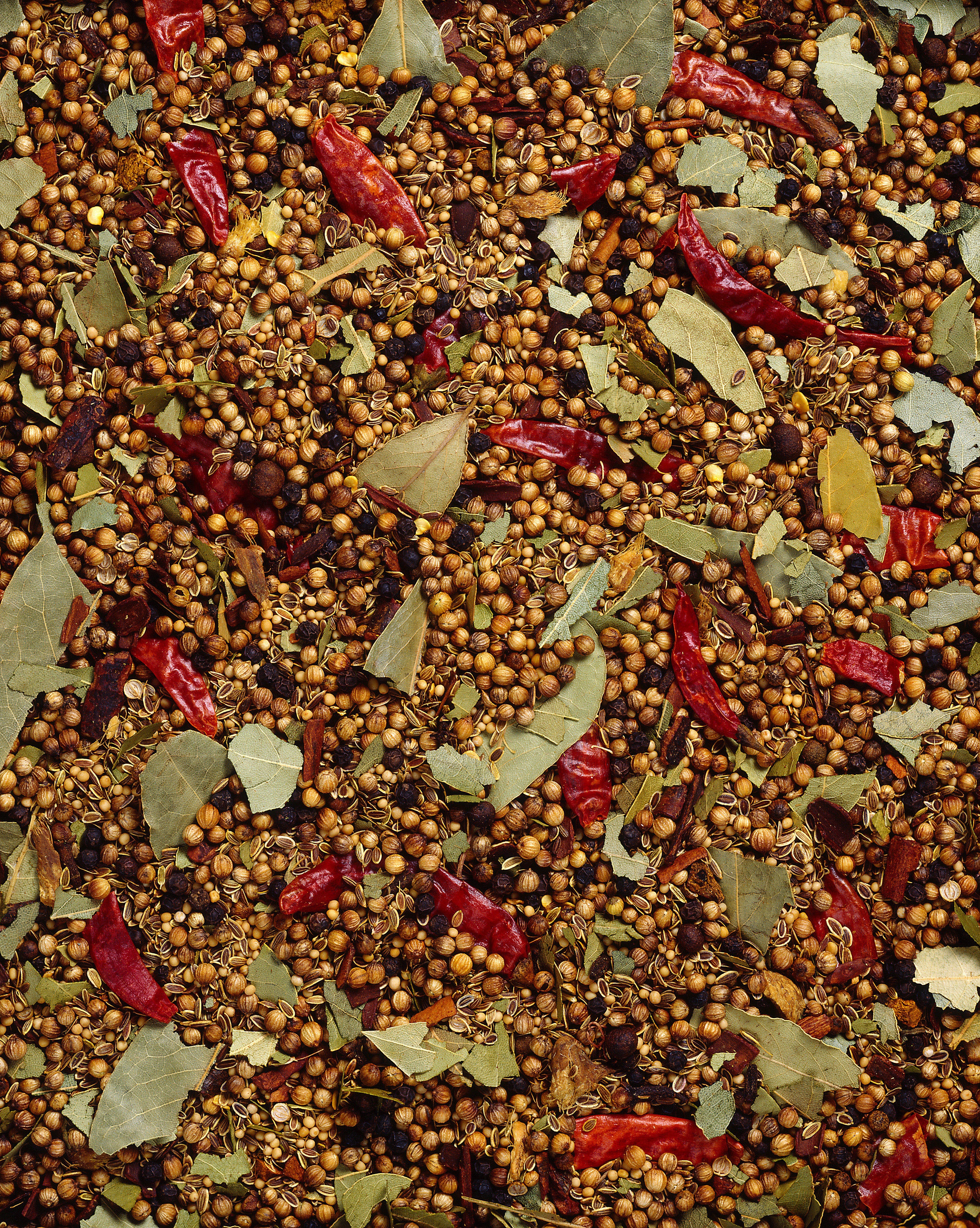 spice blend mixture