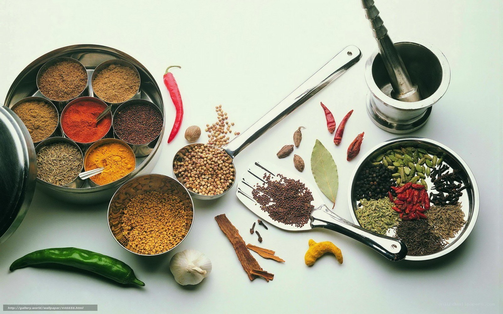 Spices and herbs collection