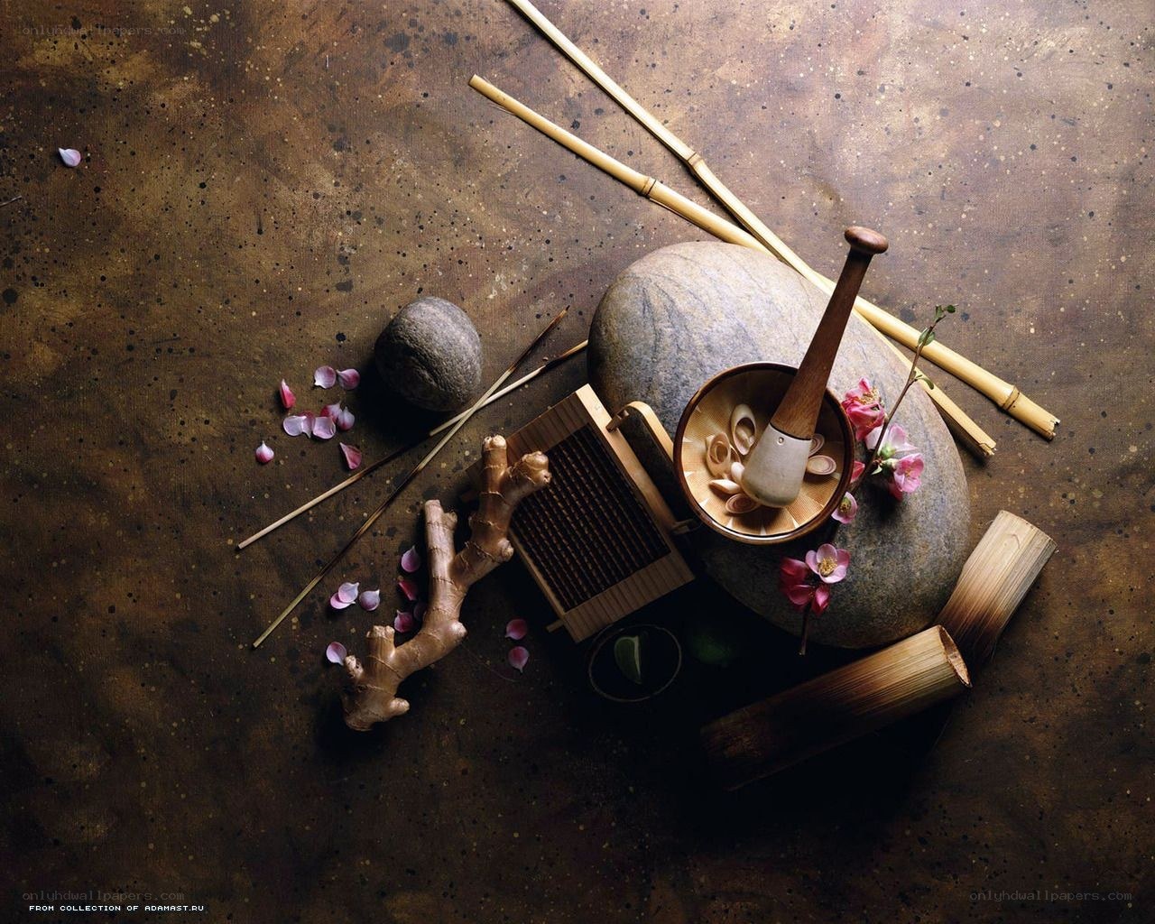 Spices and herbs on stone