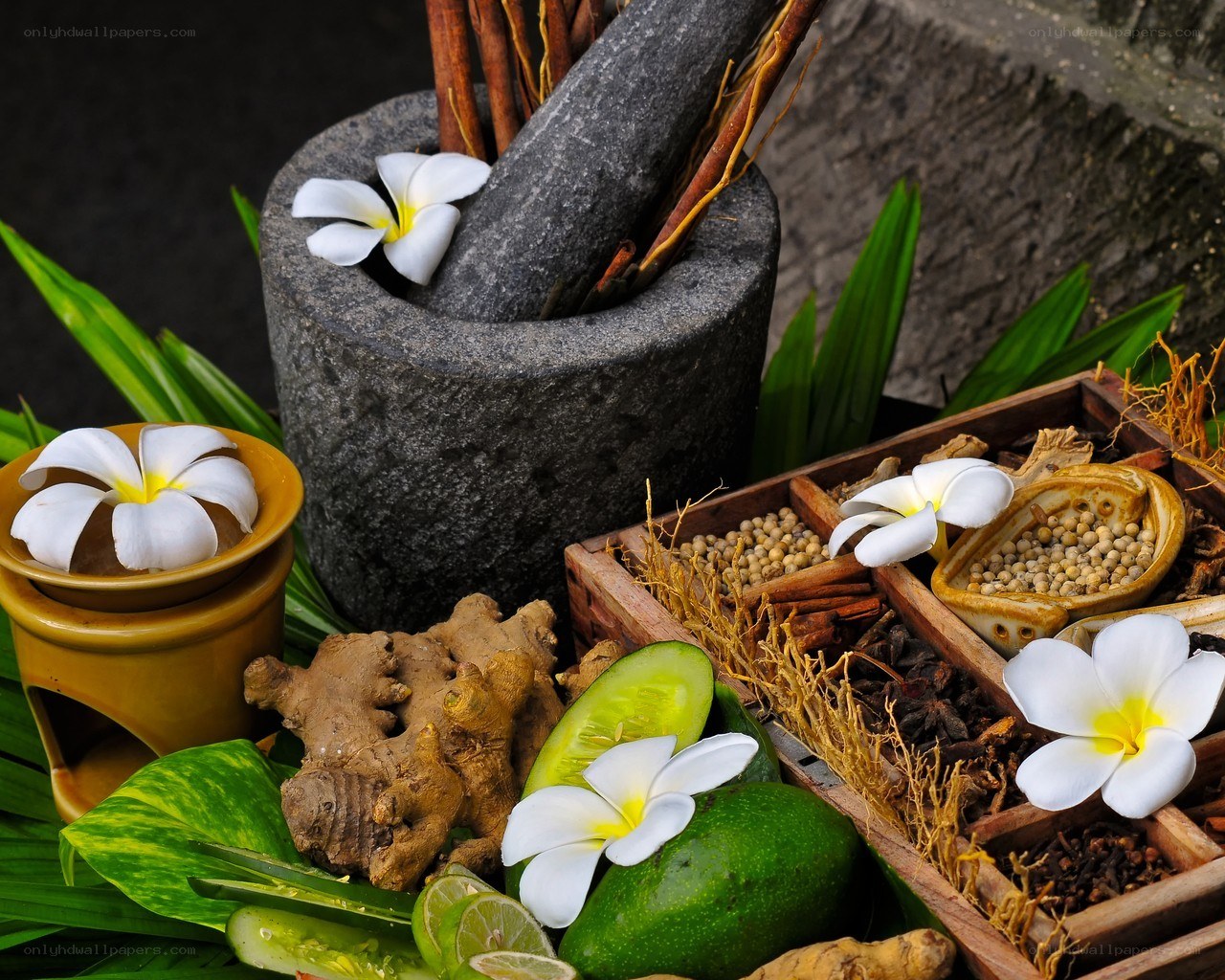 Spices and herbs with mortar
