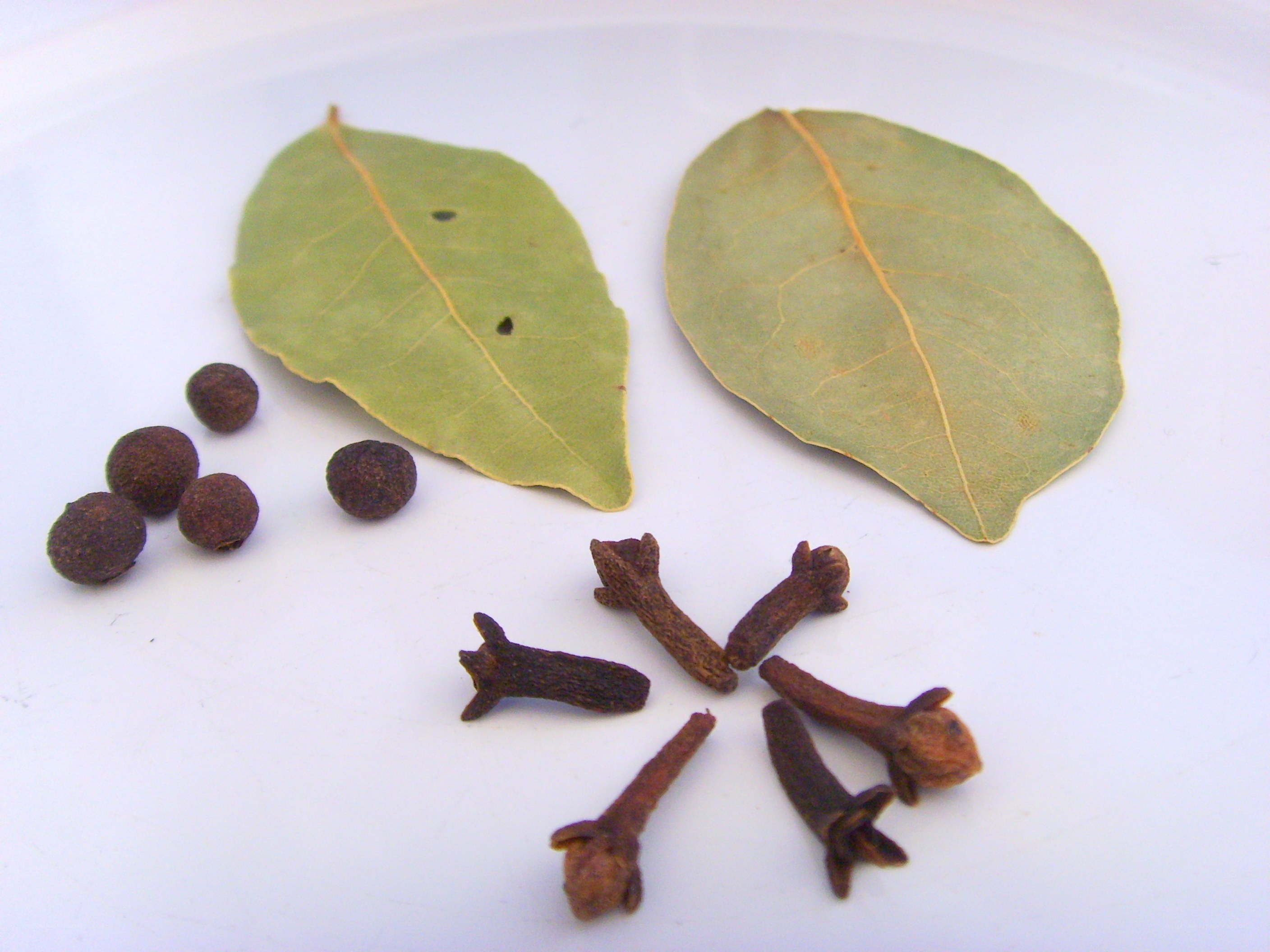 spices on a white plate
