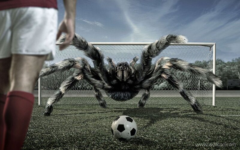Spider goalie on soccer field