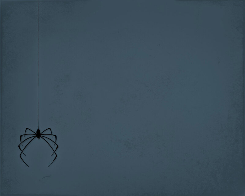 spider hanging from web