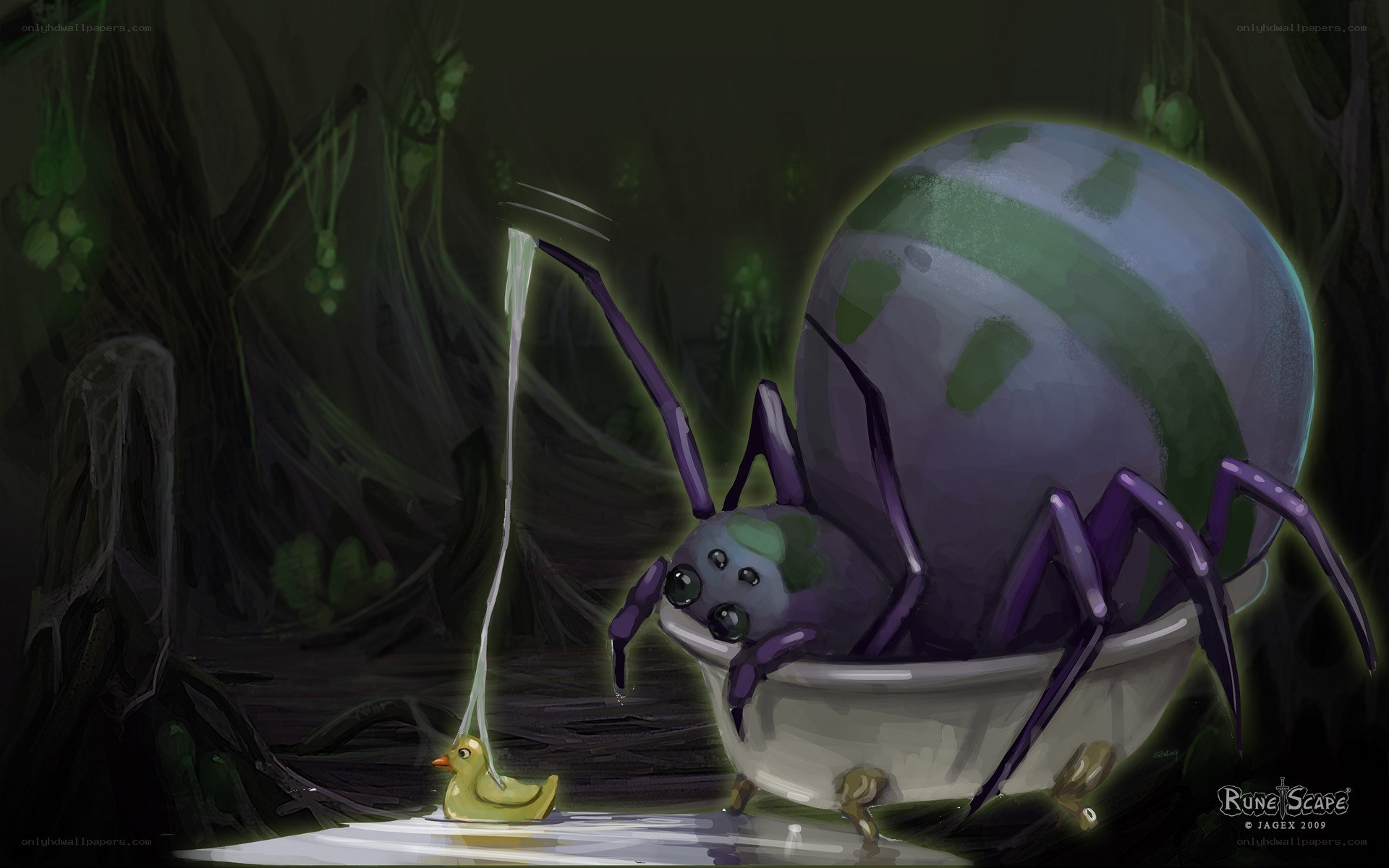 Spider in a bathtub with duck