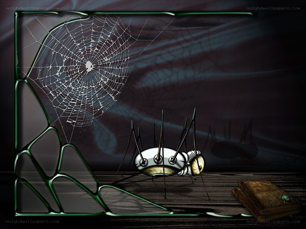 spider in a dusty room