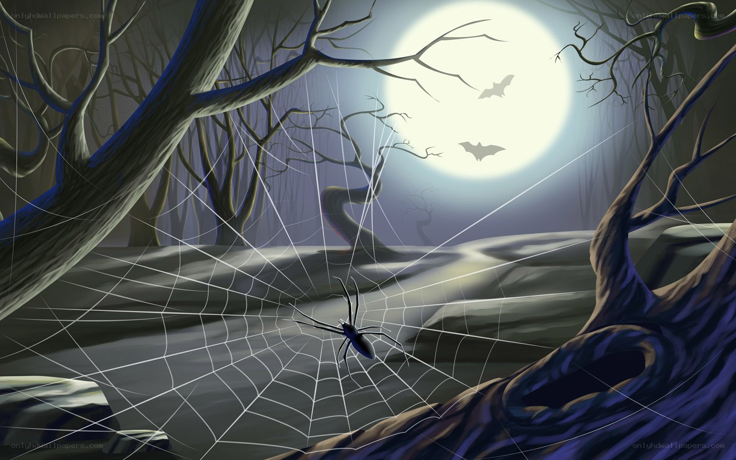 spider in a spooky forest