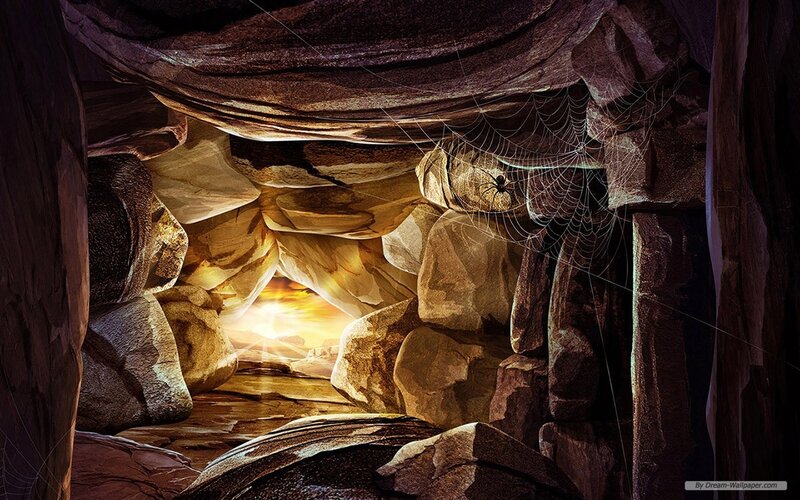 Spider in Cave Web