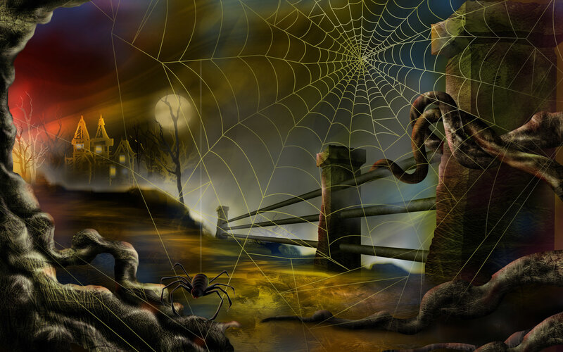 Spider in Cobweb