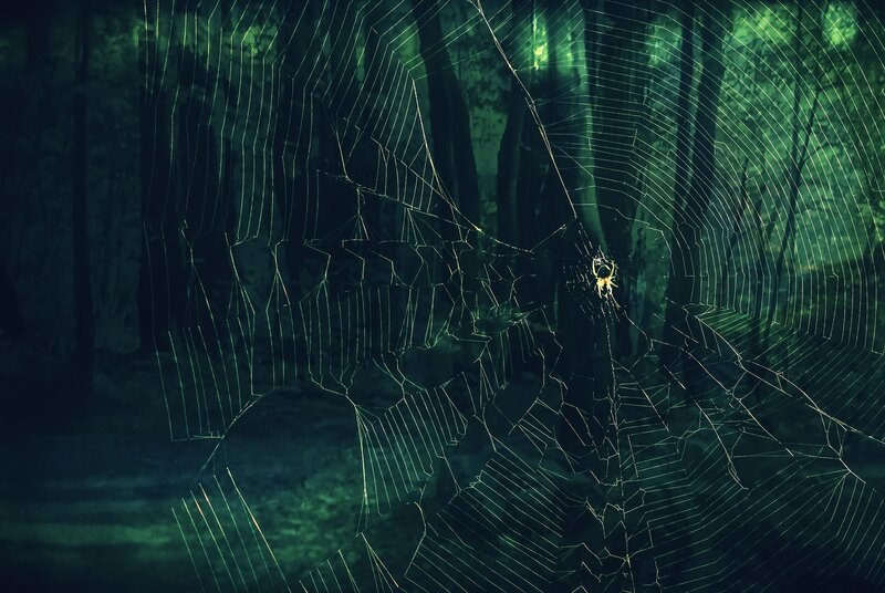 Spider in Web — Green, Dark