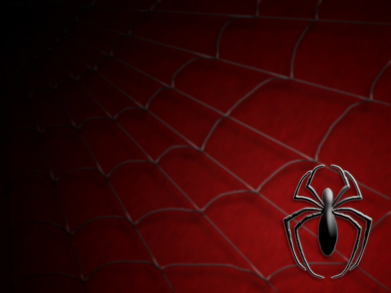 Spider Logo on Web