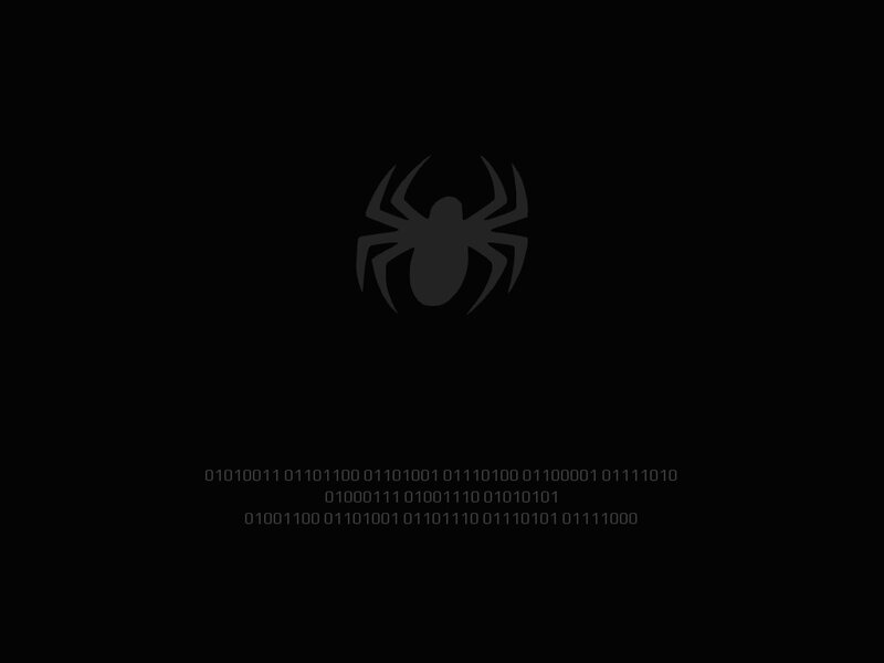 Spider Logo with Binary Code