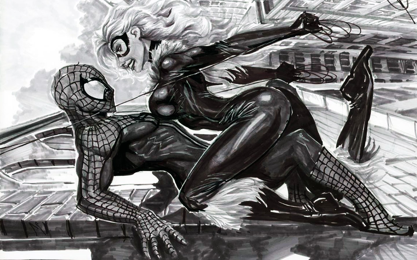 Spider-Man and Black Cat in action