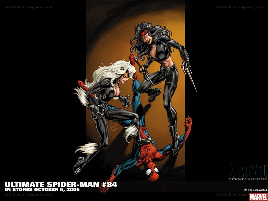Spider-Man and Black Cat in action
