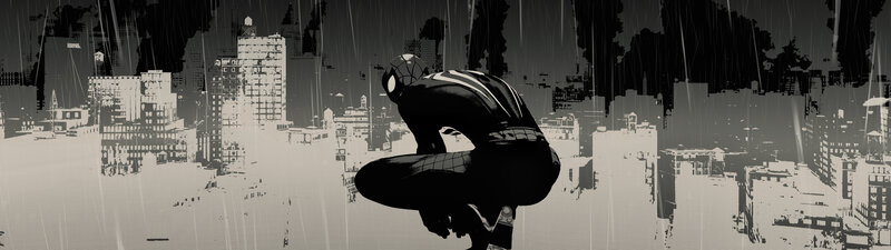 Spider-man Crouching — Black, Dramatic, Night