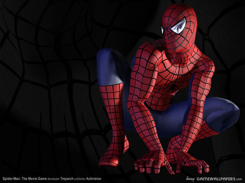 Spider-Man crouching in web