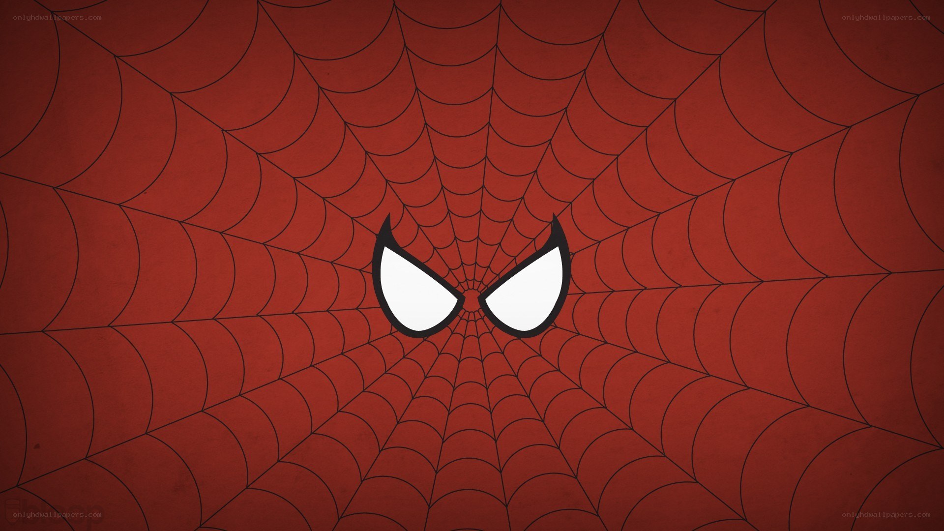 Spider-Man eyes on web