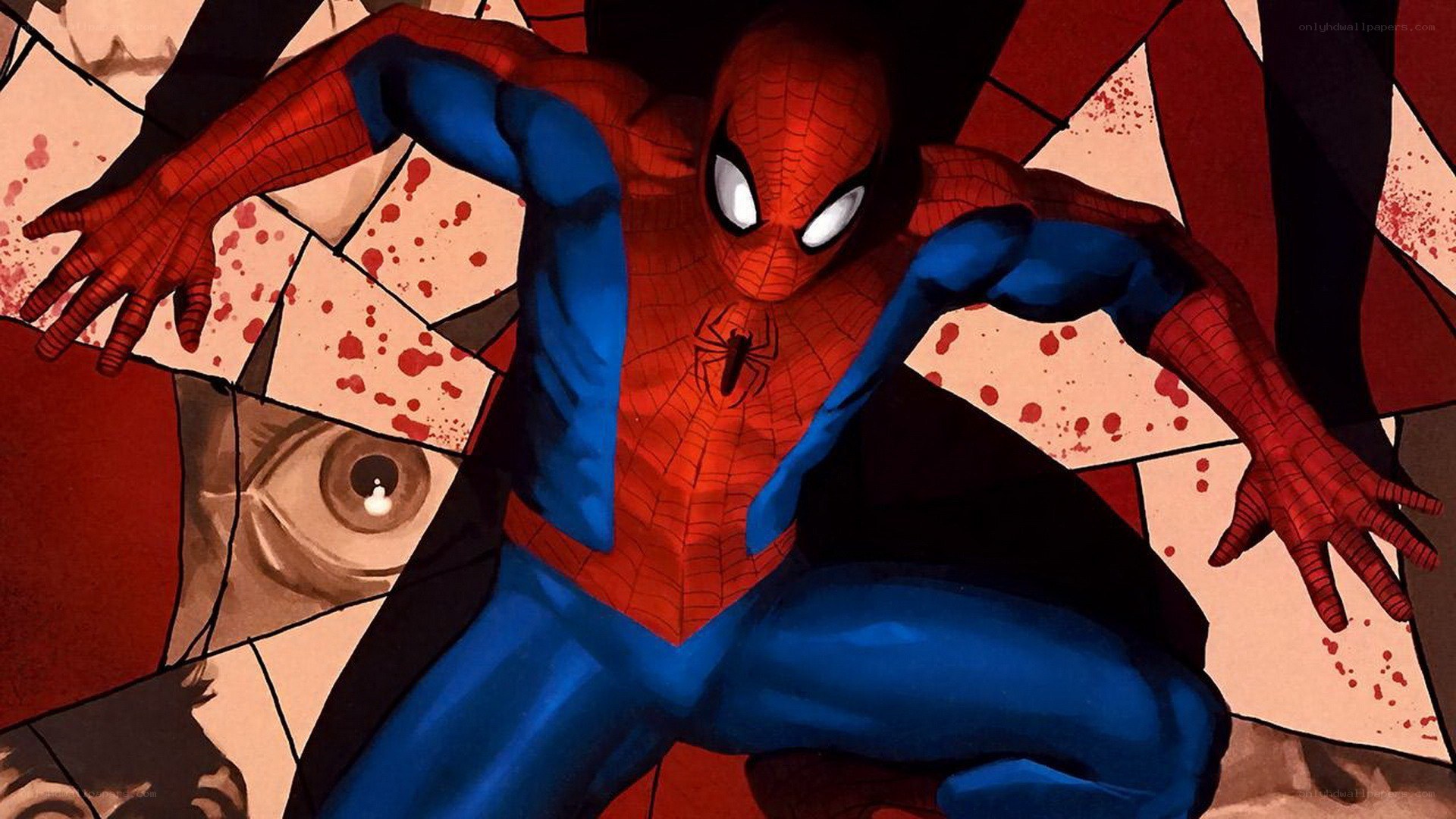 Spider-Man in a shattered mirror
