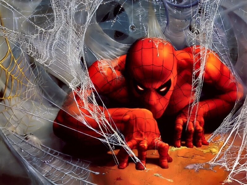 Spider-Man in a web trap