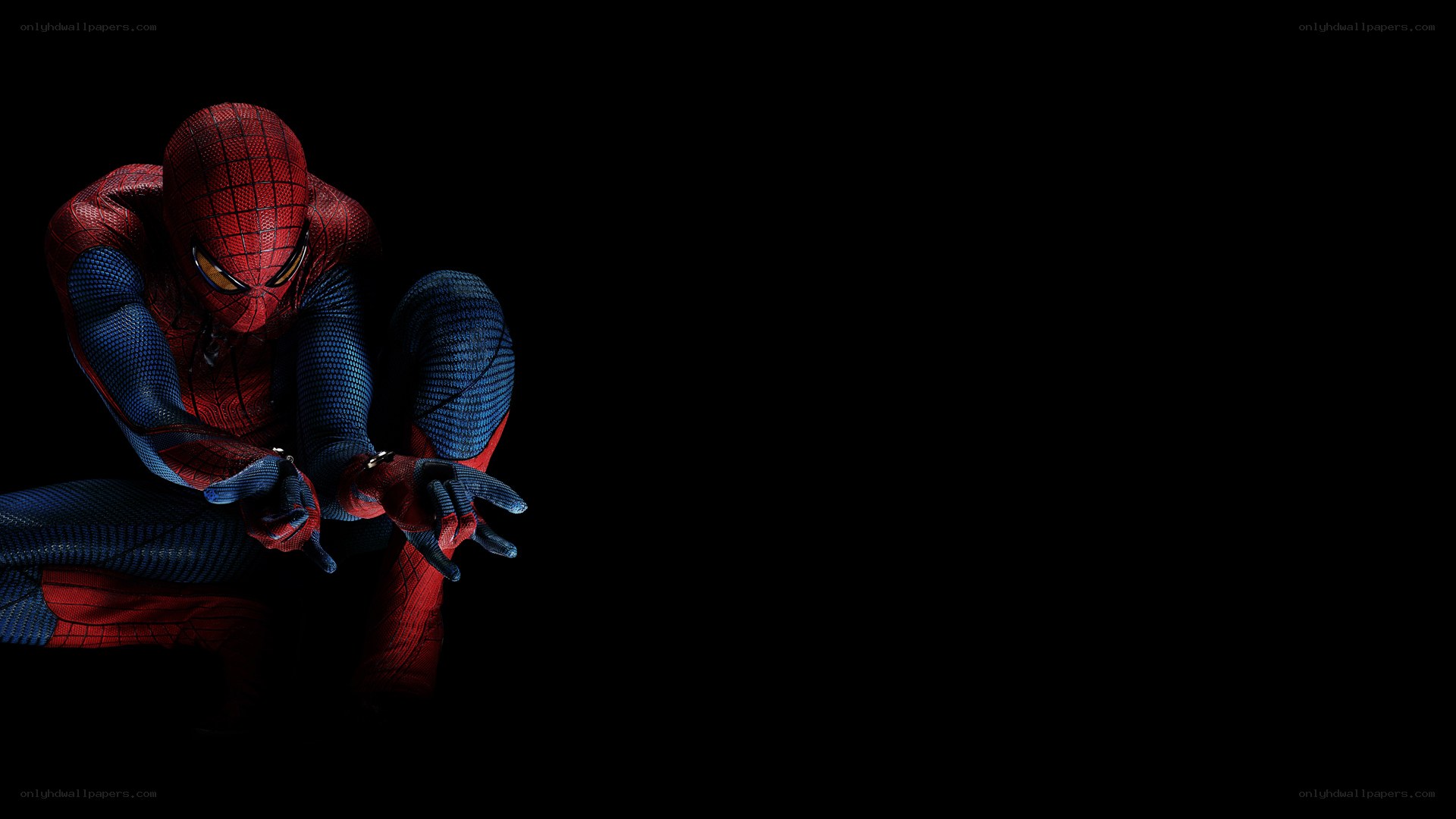 Spider-Man in action pose