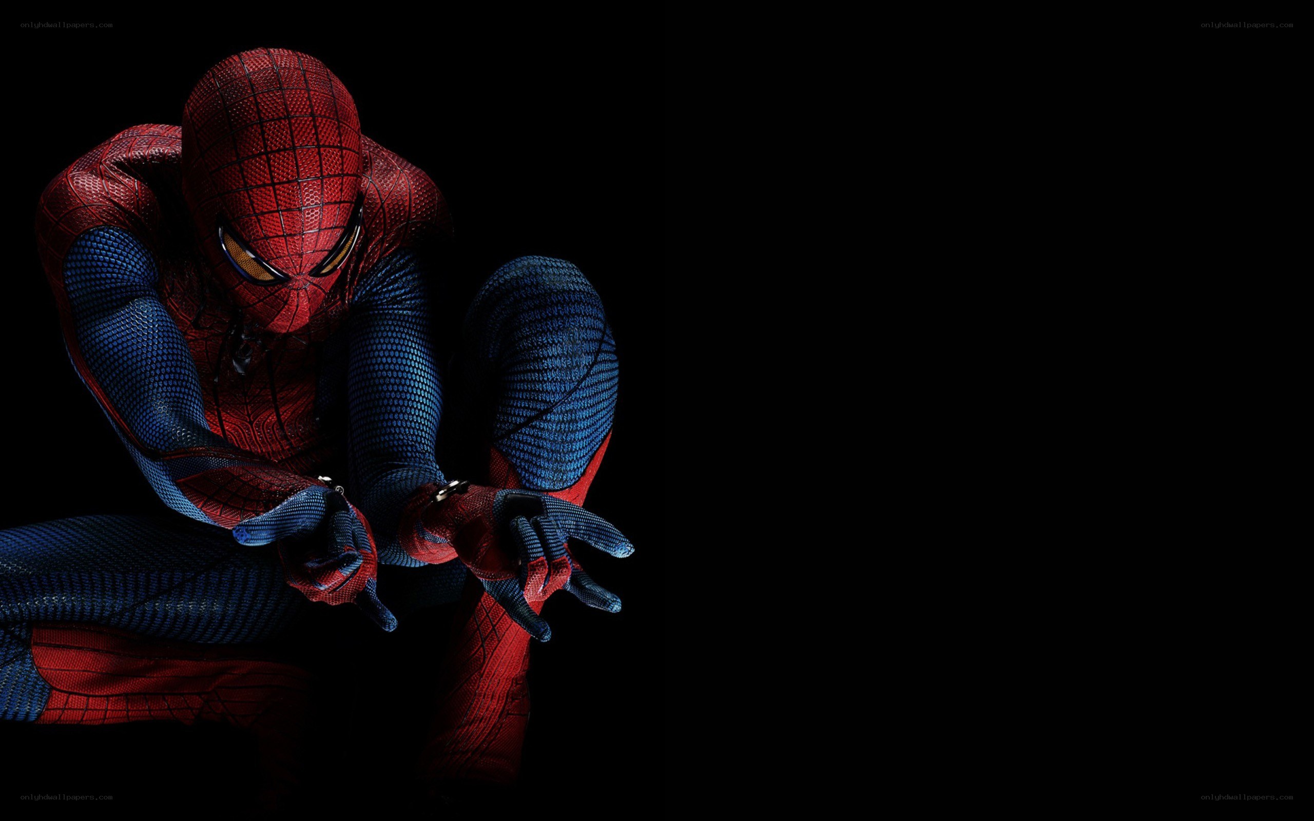 Spider-Man in action pose