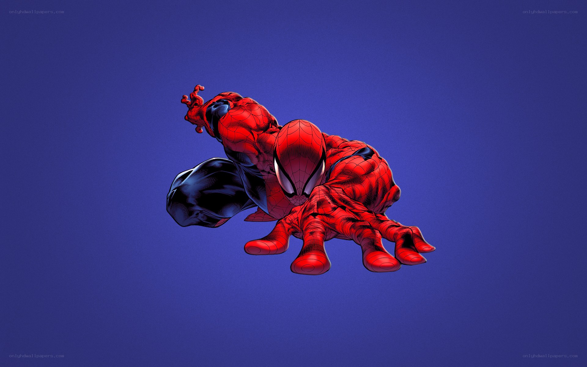 Spider-Man in action pose