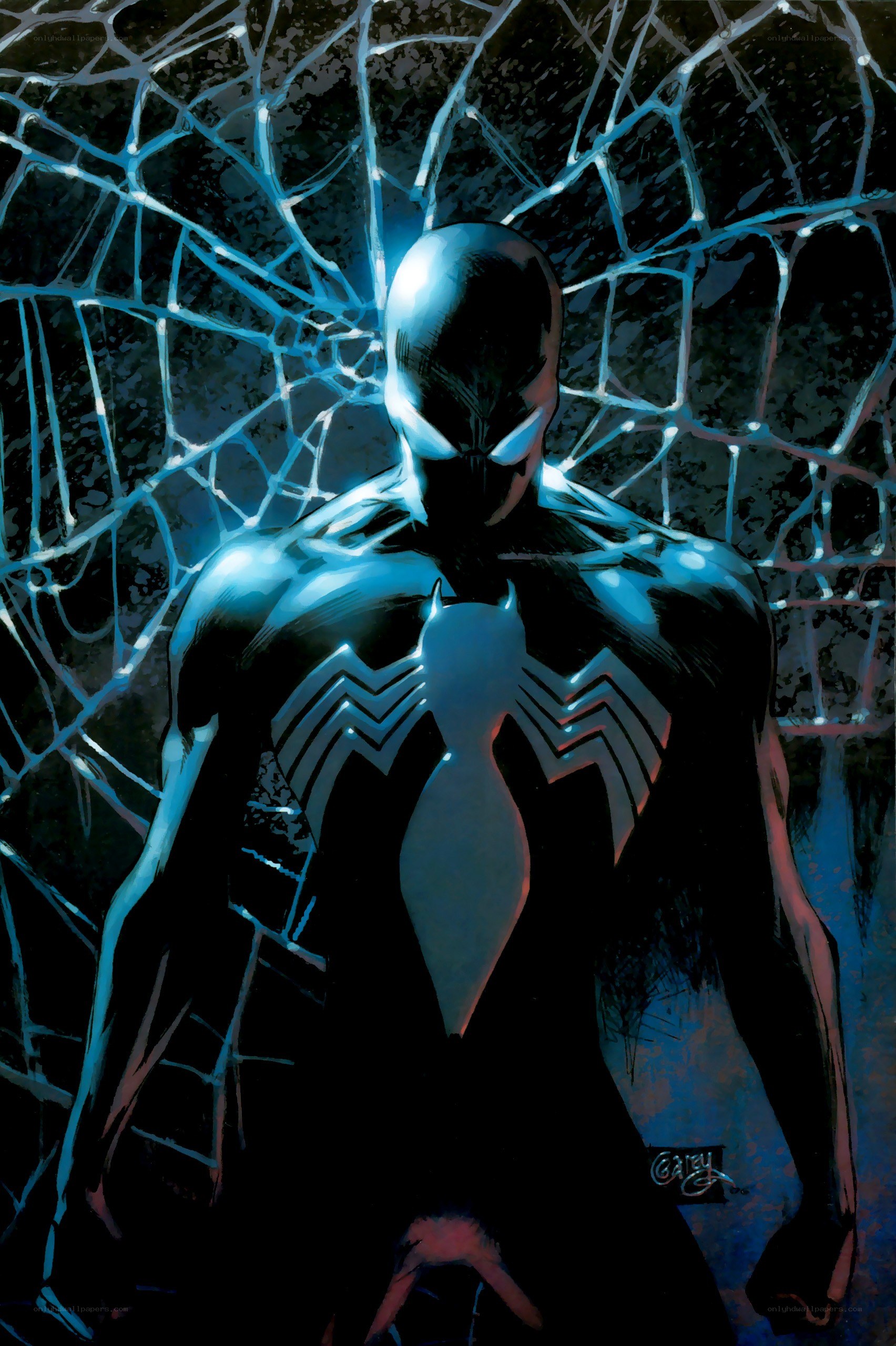 Spider-Man in black suit