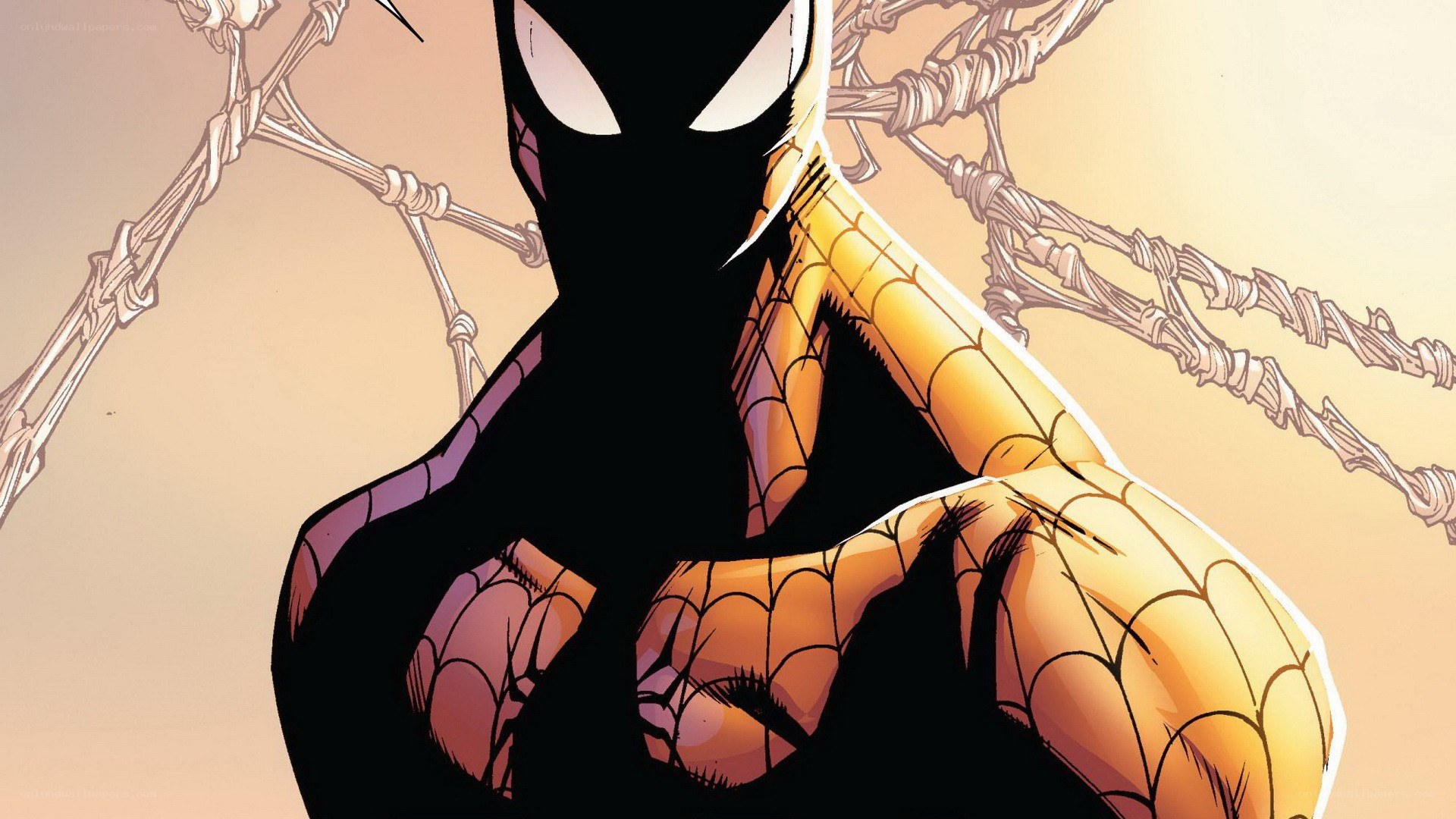 Spider-Man in black suit