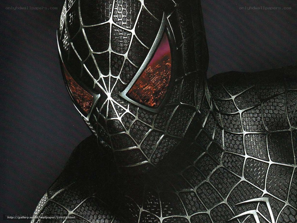 Spider-Man in black suit
