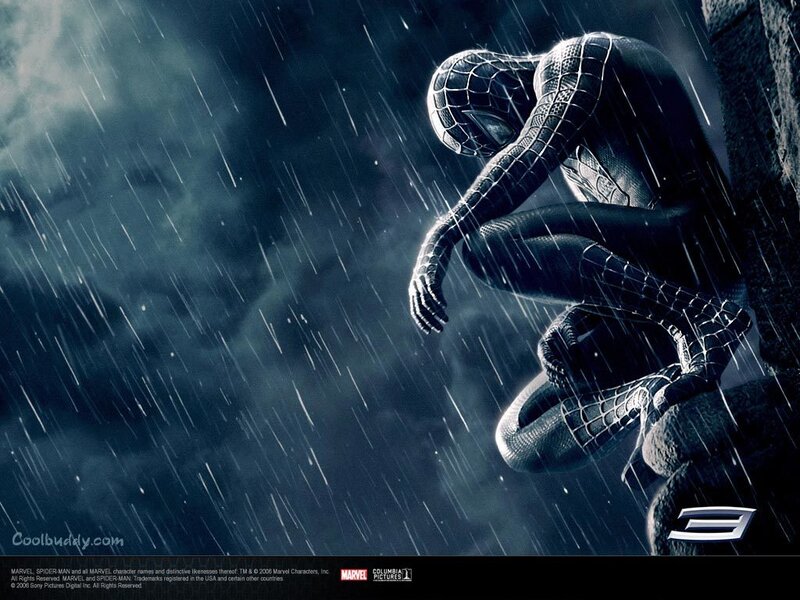Spider-man in Rain — Photograph
